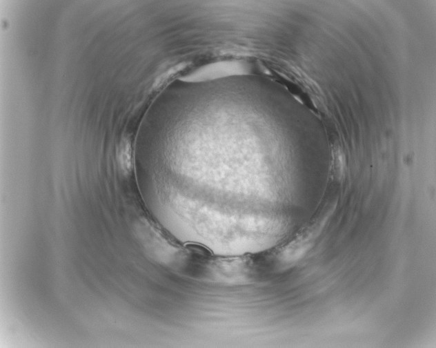 X0000087740479200705211017