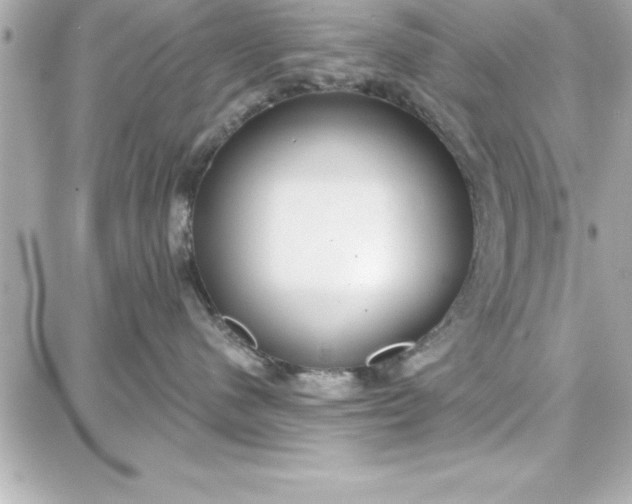 X0000087740480200705211017