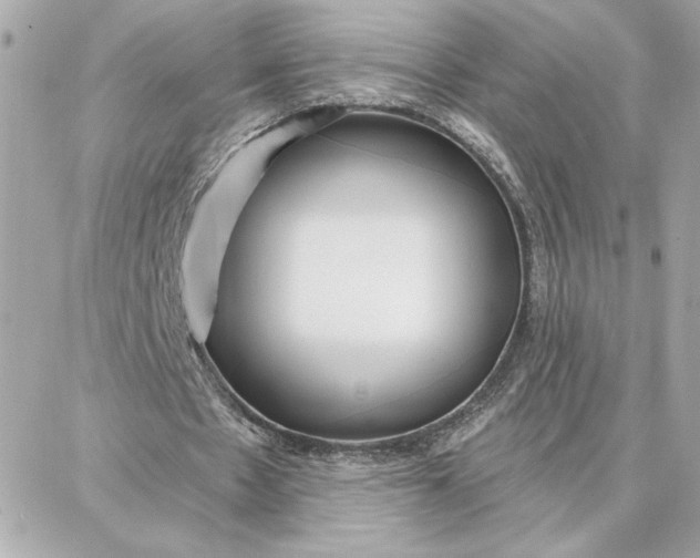 X0000087740481200705211016