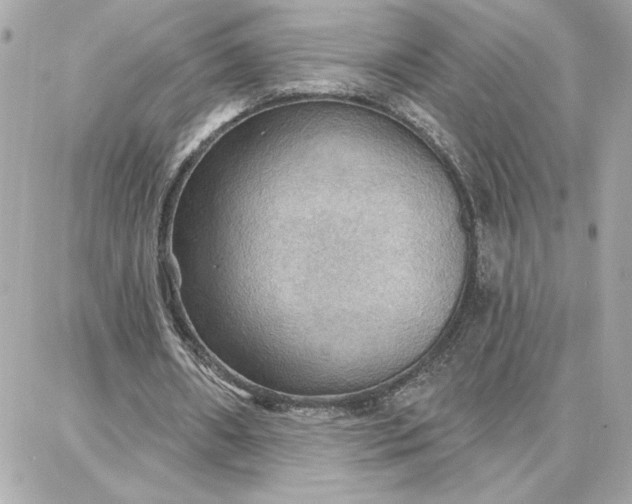 X0000087740482200705211016