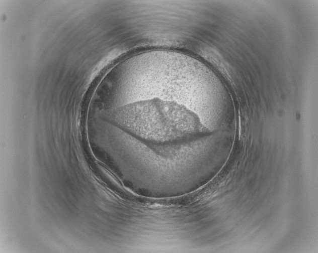 X0000087740483200705211016