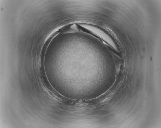 X0000087740484200705211016