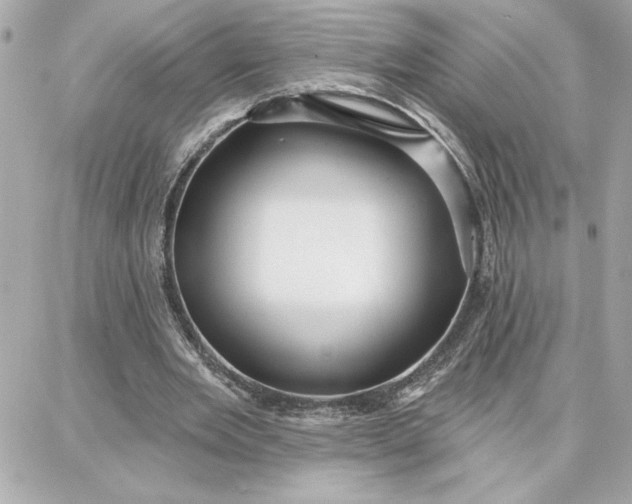 X0000087740485200705211016