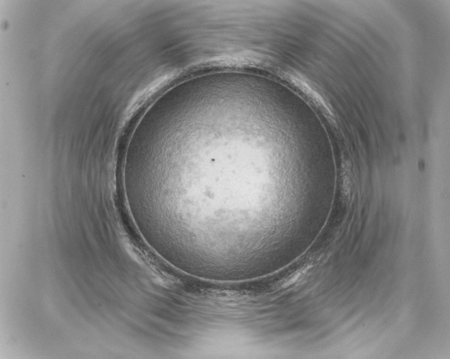 X0000087740486200705211016