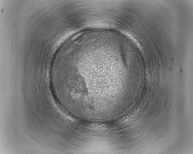 X0000087740487200705211016