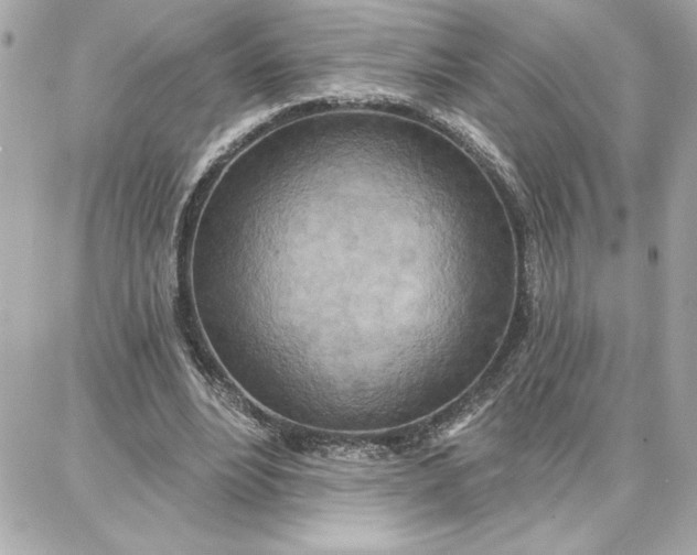 X0000087740488200705211016