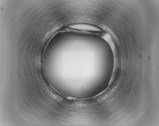 X0000087740489200705211016