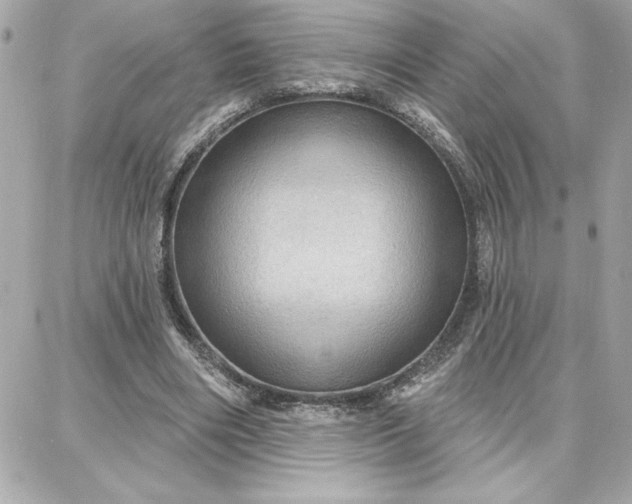 X0000087740490200705211016