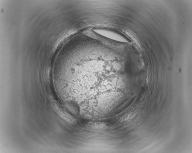 X0000087740491200705211016