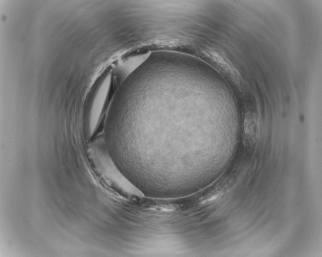 X0000087740492200705211016