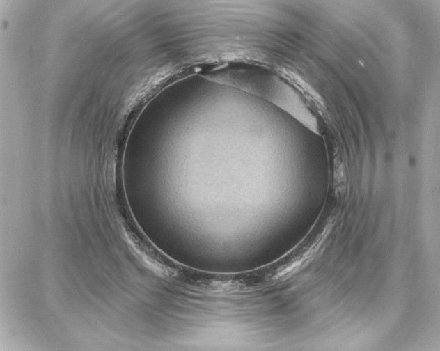 X0000087740493200705211016