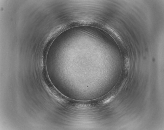 X0000087740494200705211016