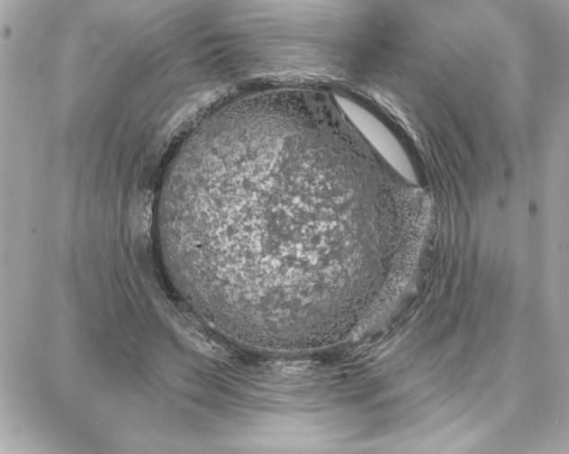 X0000087740495200705211016