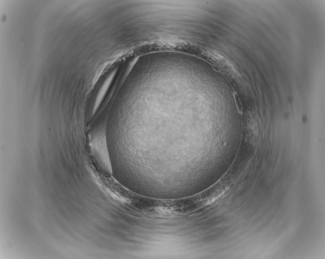 X0000087740496200705211016