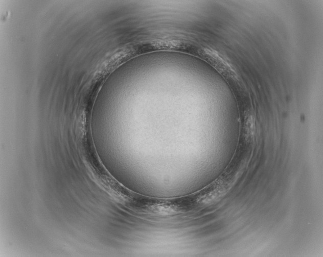 X0000087740498200705211016