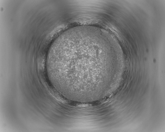 X0000087740499200705211016