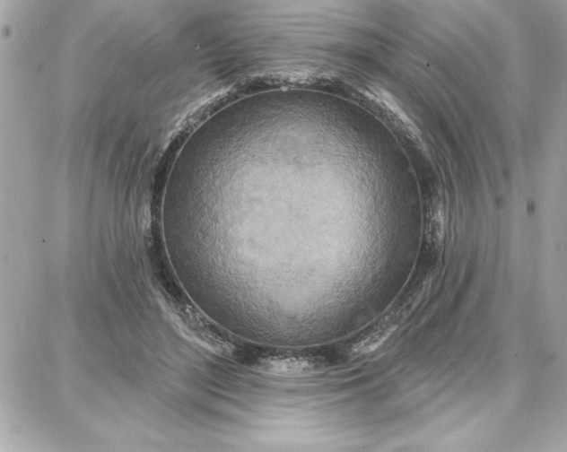 X0000087740500200705211016