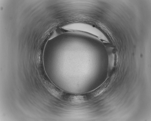 X0000087740501200705211016