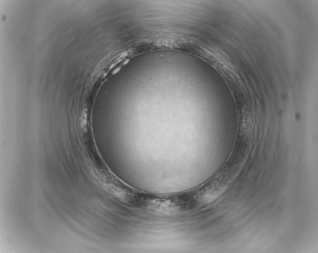 X0000087740502200705211016