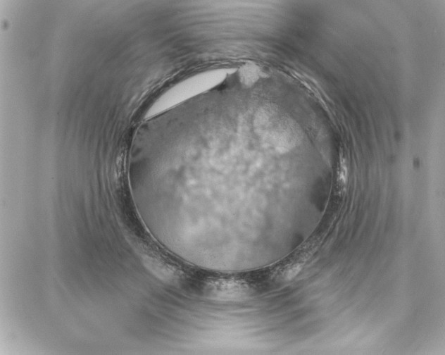 X0000087740503200705211016