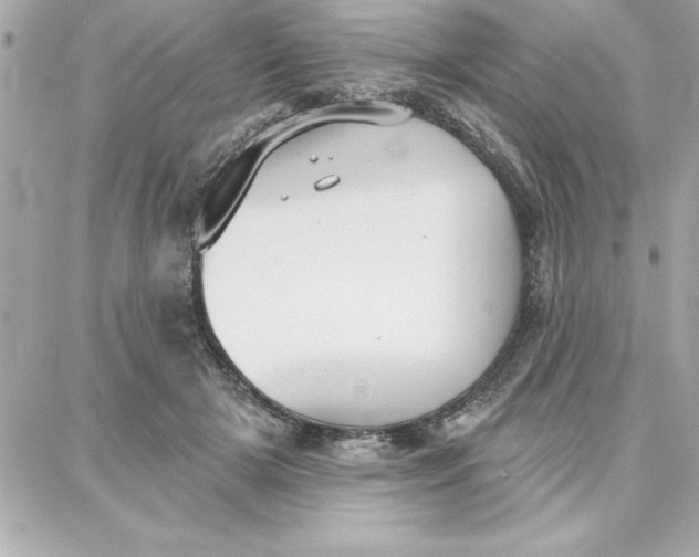 X0000087740505200705211016