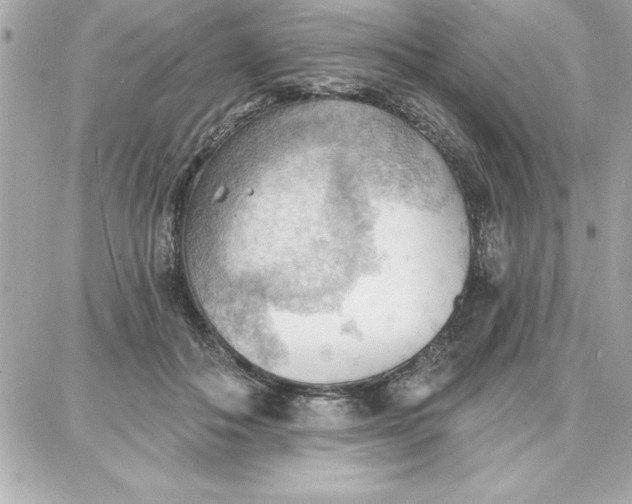 X0000087740506200705211016