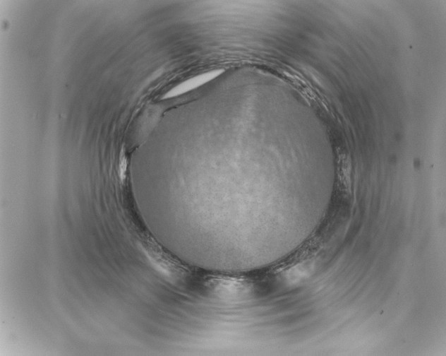 X0000087740507200705211016