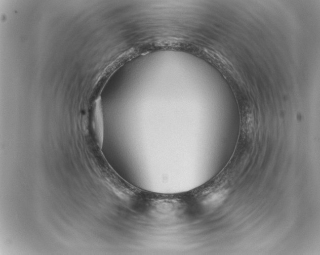 X0000087740508200705211016