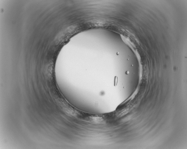 X0000087740509200705211016