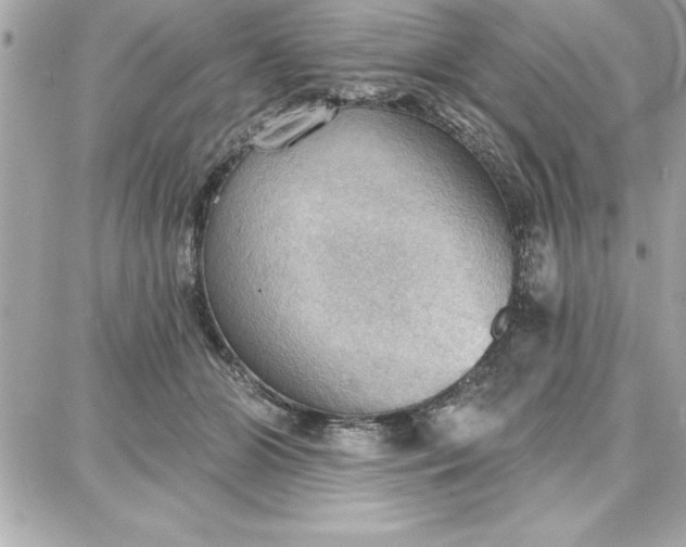 X0000087740510200705211016