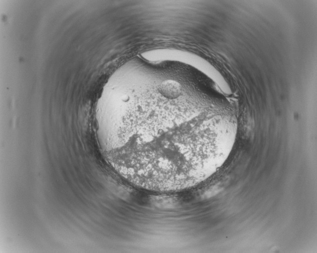 X0000087740511200705211016