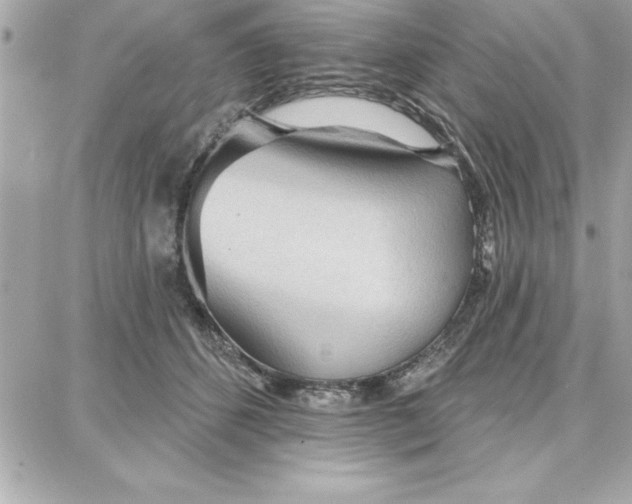 X0000087740512200705211016