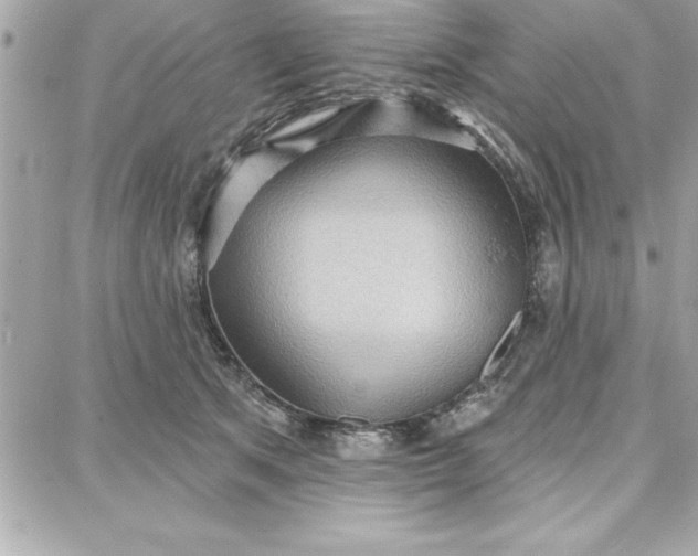 X0000087740513200705211016