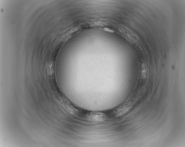 X0000087740514200705211016