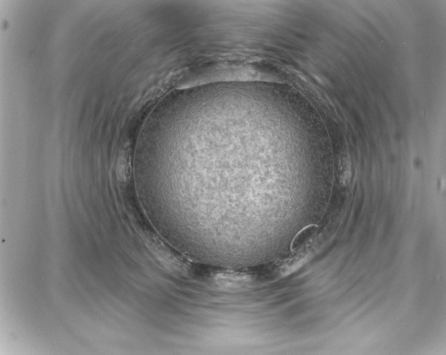 X0000087740515200705211015