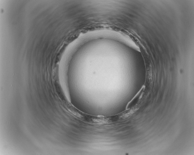 X0000087740516200705211015