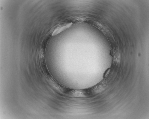 X0000087740518200705211015