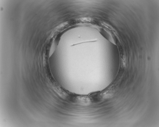 X0000087740520200705211015