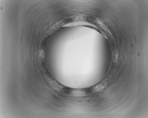 X0000087740521200705211015