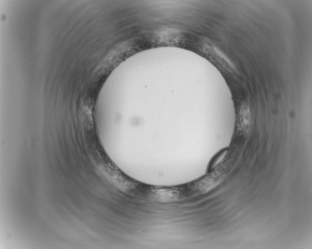 X0000087740522200705211015