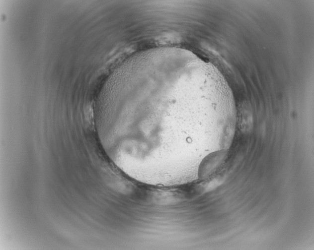 X0000087740523200705211015