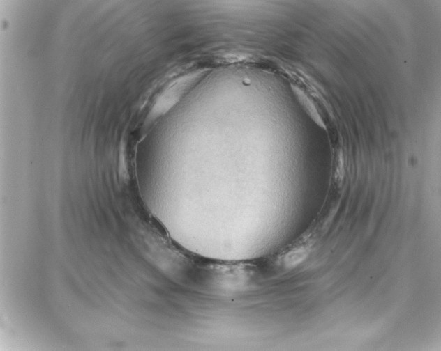 X0000087740524200705211015