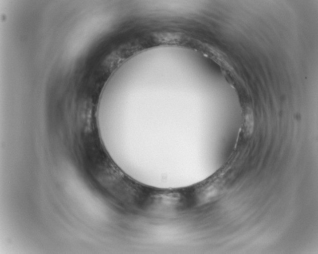 X0000087740525200705211015