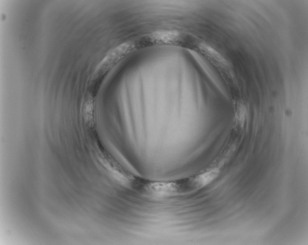 X0000087740526200705211015