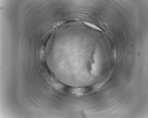 X0000087740527200705211015