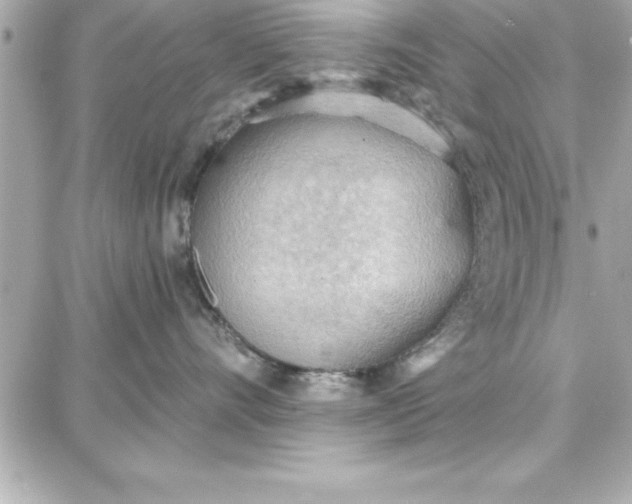 X0000087740528200705211015