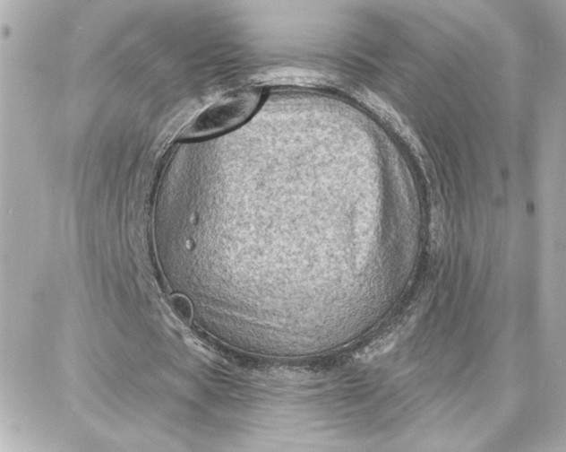 X0000087740529200705211014