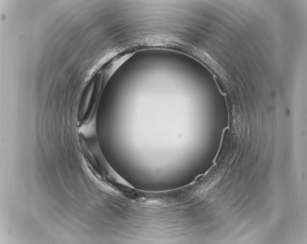 X0000087740530200705211015