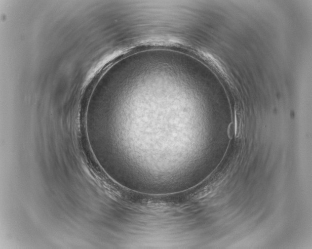 X0000087740531200705211015