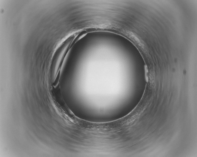 X0000087740532200705211015